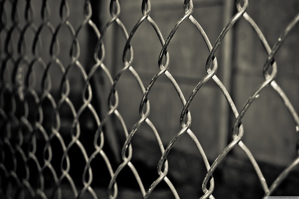 Metal-mesh-for-the-cage 2